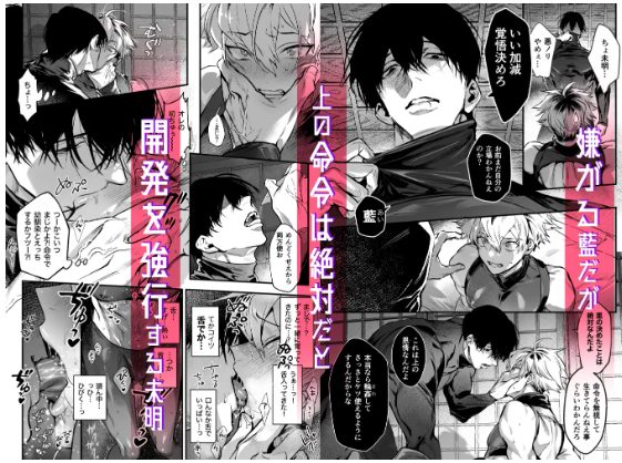 【2026年最新】『しこにん』レビュー|あらすじ・見どころ・お得に読む方法を解説